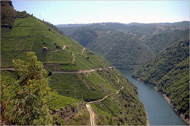 Visite las maravillas de A Ribeira Sacra