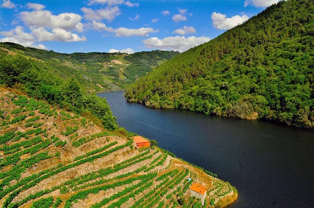 Visite las maravillas de A Ribeira Sacra