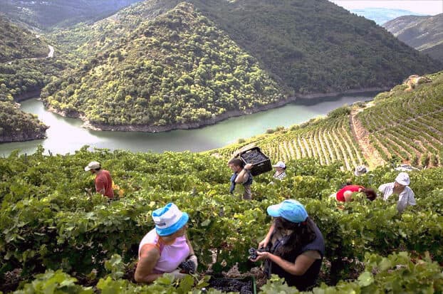 Visite las maravillas de A Ribeira Sacra